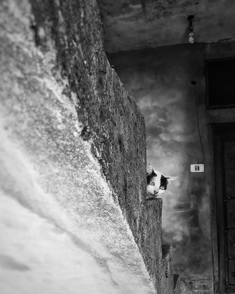 Hide & Seek by Saymon Delowar - Mobile Photography Awards Black and White Winners