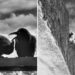 Mobile Photography Awards Black and White Winners