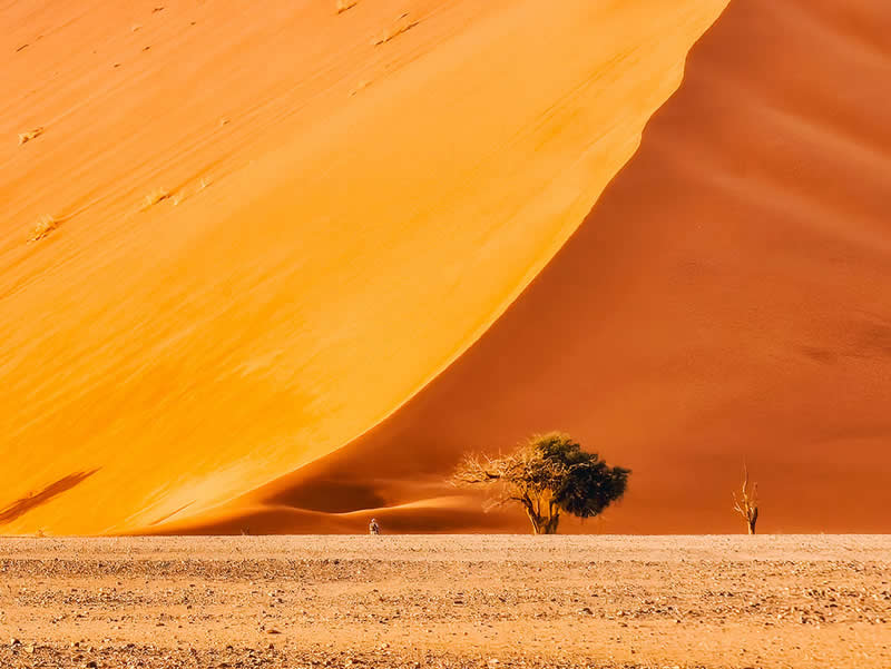 Standing Under the Dunes by Zhengjie Wu - Mobile Photography Awards Travel Winners