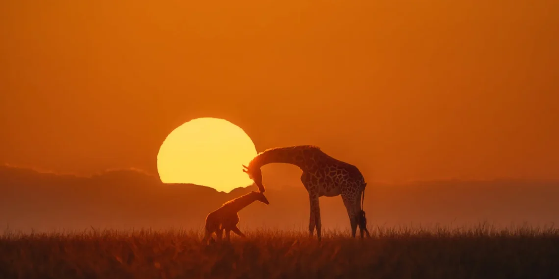 The Nature Photography Contest Winners