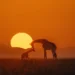 The Nature Photography Contest Winners