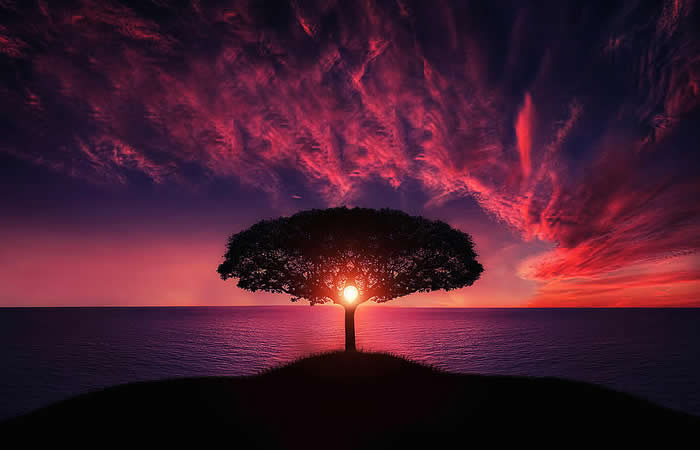 A perfectly timed close-up photo of a large iridescent soap bubble at the moment it pops. A finger touches the left side, causing that half of the bubble to shatter into countless tiny droplets while the right side remains spherical.