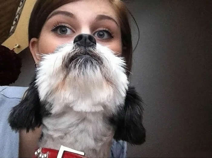 A perfectly timed photo where a small, fluffy white and black dog is held up in front of a woman's face. The dog's nose and chin align perfectly with the woman's mouth and chin, creating a funny composite face.