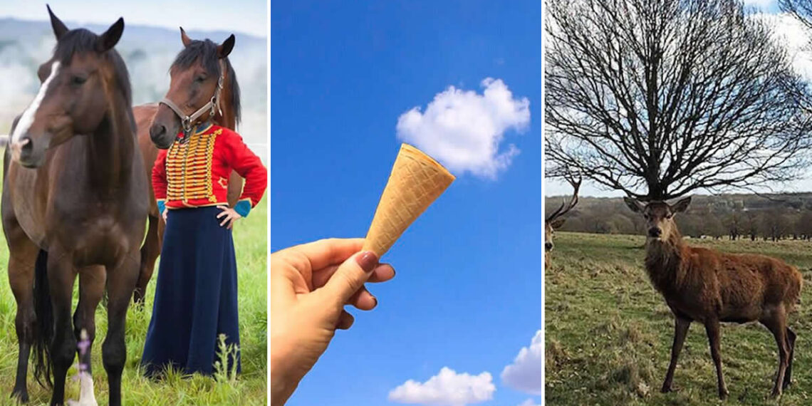 Perfectly Timed Photos That Capture Pure Magic