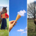 Perfectly Timed Photos That Capture Pure Magic