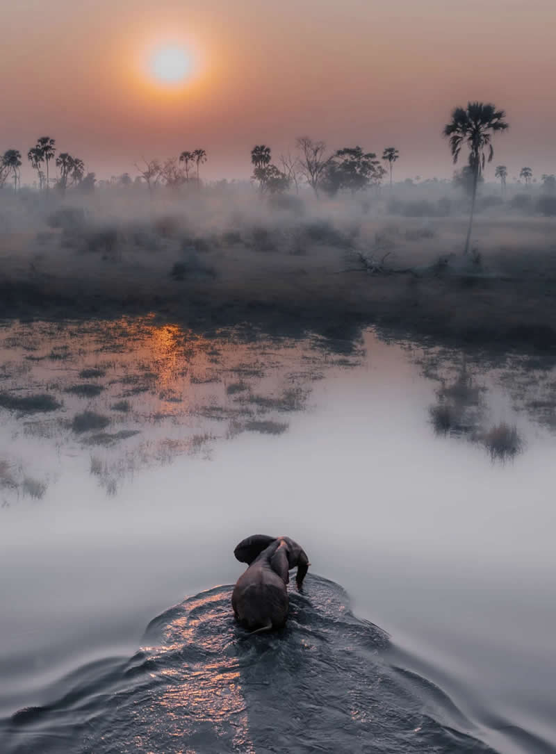 "Okavango Delta" by Sollylevi - SkyPixel Aerial Photography Contest Winners