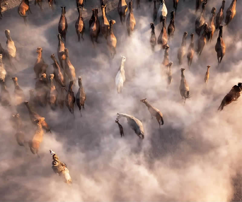 "Mothers never leave" by F. Dilek Yurdakul - SkyPixel Aerial Photography Contest Winners