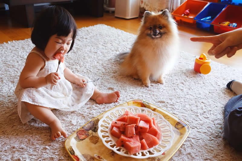 Perspectives 1st Place: "Sunny Side Up: A Portrait of the Most Average K-Parenting Today" by Seungho Kim - Sony World Photography Awards 2026 Winners
