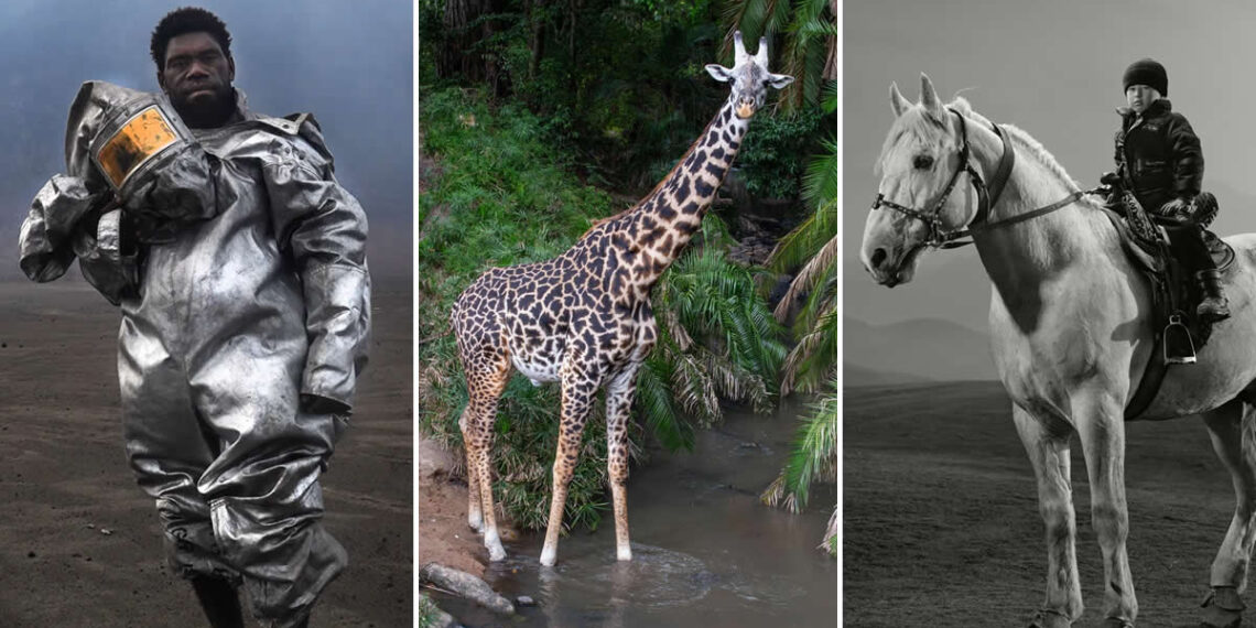 Winners of the 2026 Sony World Photography Awards