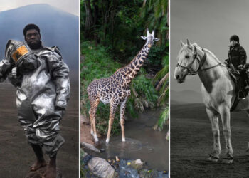 Winners of the 2026 Sony World Photography Awards