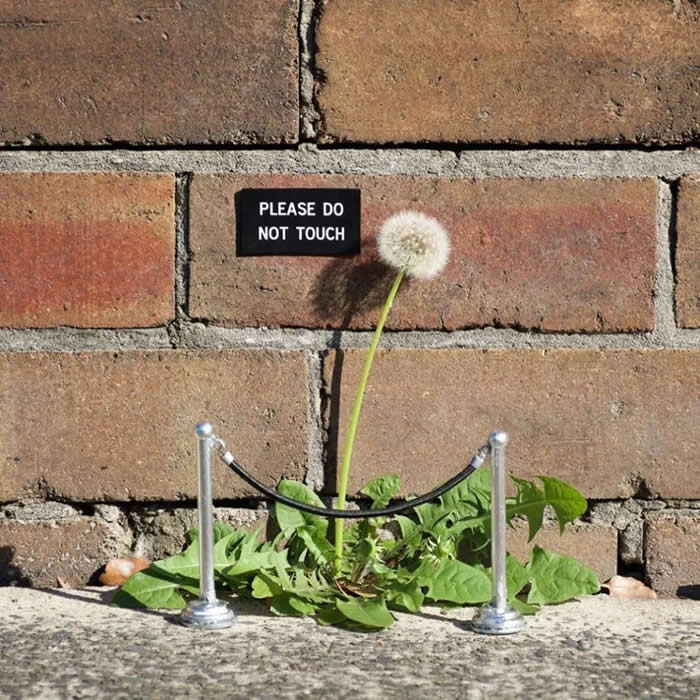 Please Do Not Touch in Sydney, Australia - Street Art Photos Merge with Nature