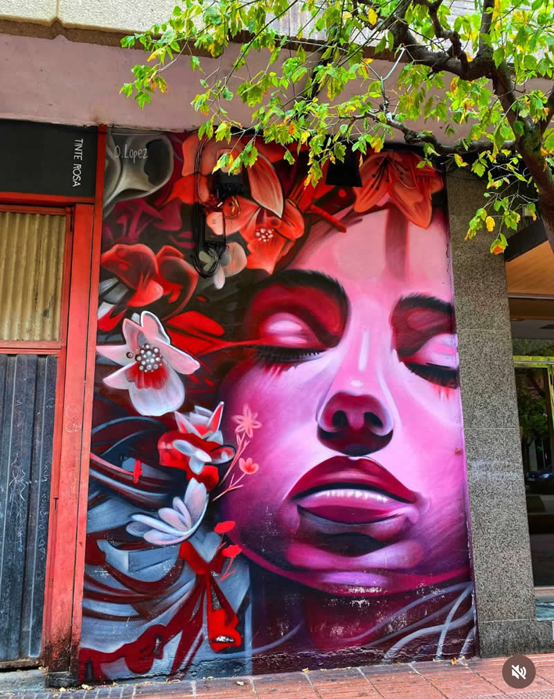 A vibrant street mural shows a woman&rsquo;s face with closed eyes, surrounded by red and pink flowers and flowing abstract shapes, painted on a building wall beneath green tree branches.