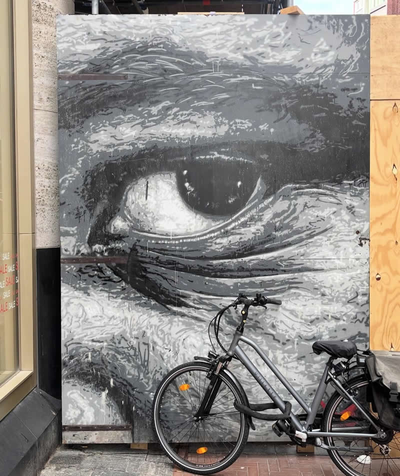 A monochrome street mural of a large, detailed human eye painted on a panel, with a bicycle parked in front, creating a layered urban scene of observation and stillness.