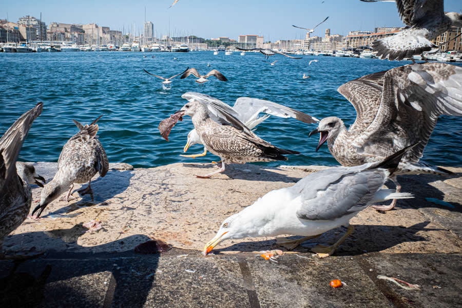 Street Photography by Lea Gundermann