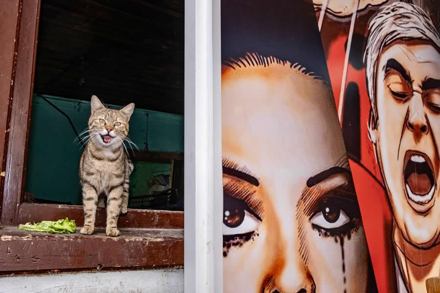 Turkey Street Photography Nazile Bolat