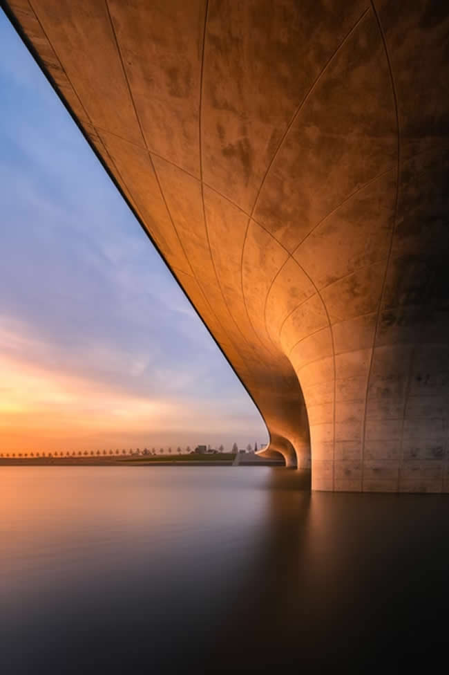 The Artist Gallery Awards 2026 Architecture Winners