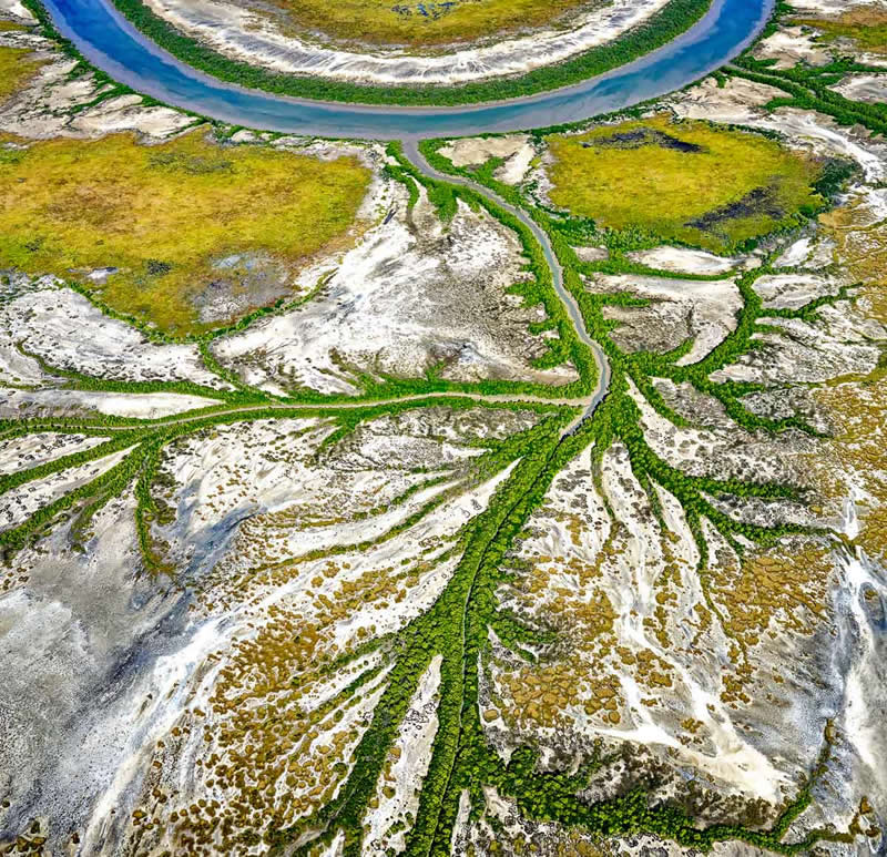 The Beauty of Plants: 24 Award-Winning Photos from the Garden Photographer of the Year 45 Garden Photographer of the Year The Beauty of Plants Winners