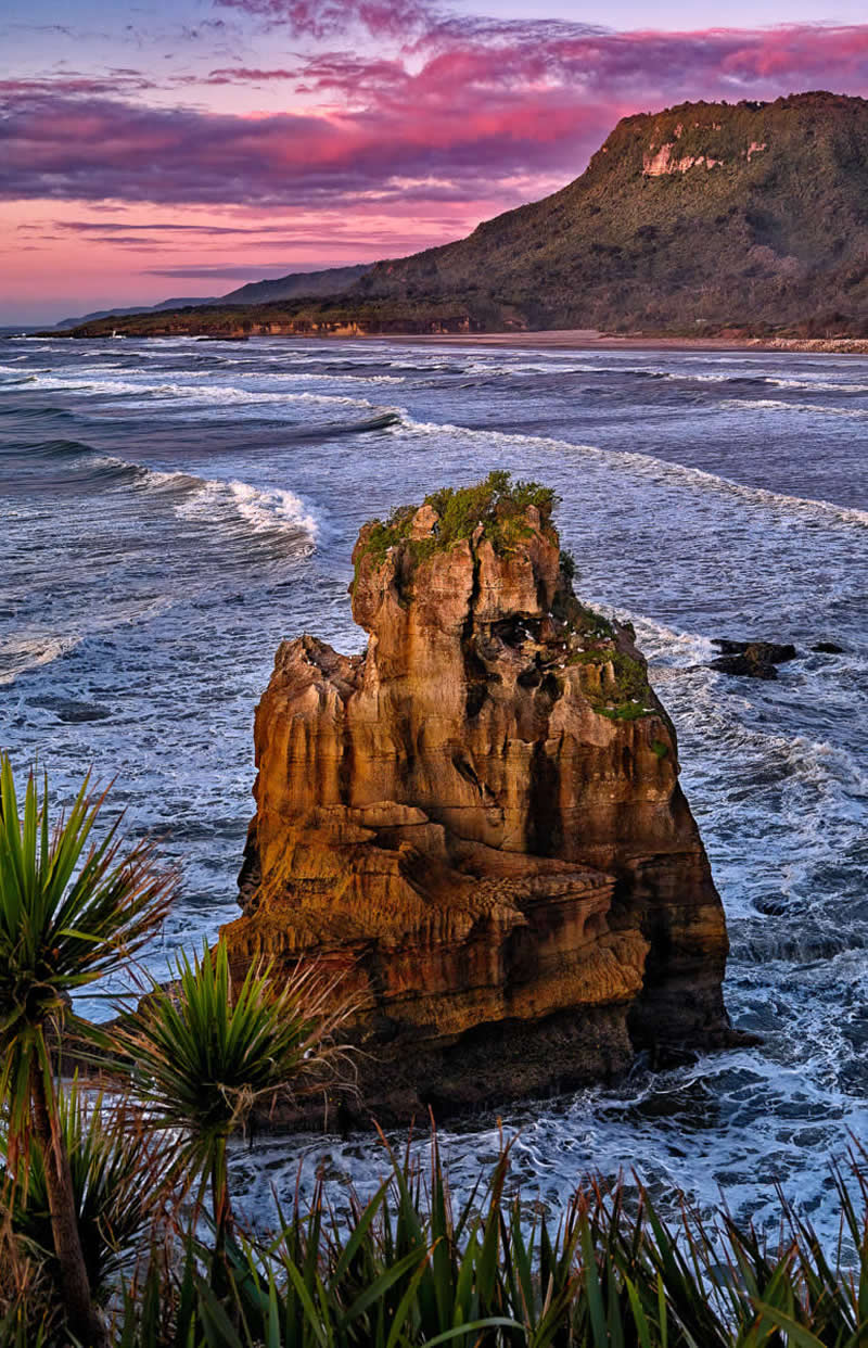 The Beauty of Plants: 24 Award-Winning Photos from the Garden Photographer of the Year 46 Garden Photographer of the Year The Beauty of Plants Winners