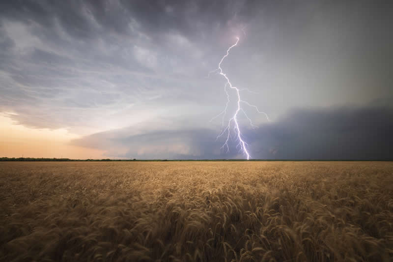 The Beauty of Plants: 24 Award-Winning Photos from the Garden Photographer of the Year 48 Garden Photographer of the Year The Beauty of Plants Winners