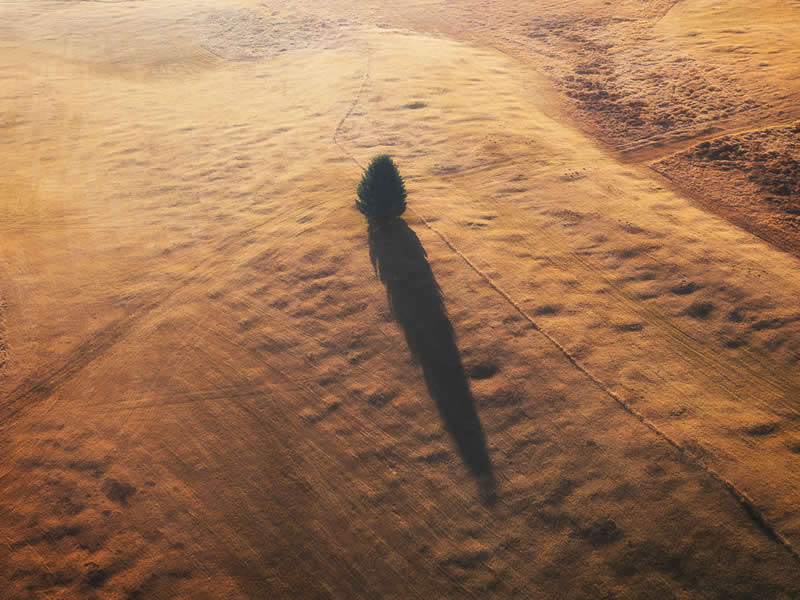 The Beauty of Plants: 24 Award-Winning Photos from the Garden Photographer of the Year 50 Garden Photographer of the Year The Beauty of Plants Winners