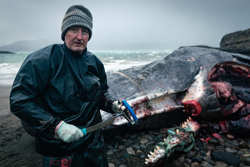 Environmental - 1st Place: "The Necropsy" by James Appleton - The Scottish Nature Photography Awards