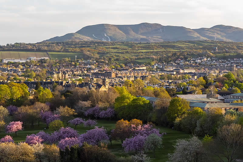 Scottish Landscape Urban Greenspace - 1st Place: "Edinburgh in Bloom" by Jamie McDermaid - The Scottish Nature Photography Awards