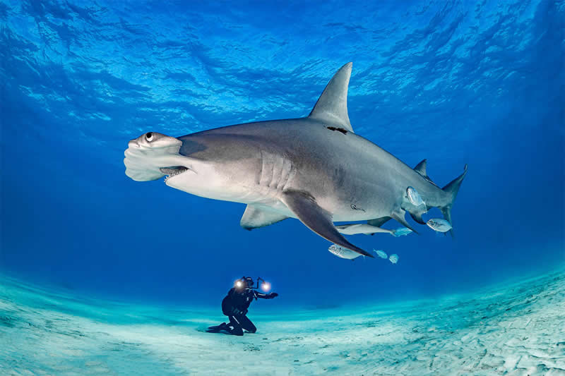 Mesmerizing Ocean Moments by Tobias Friedrich