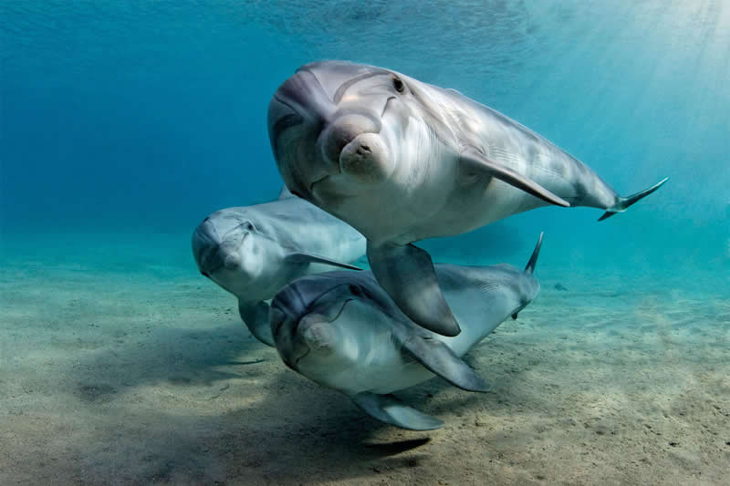 Mesmerizing Ocean Moments by Tobias Friedrich