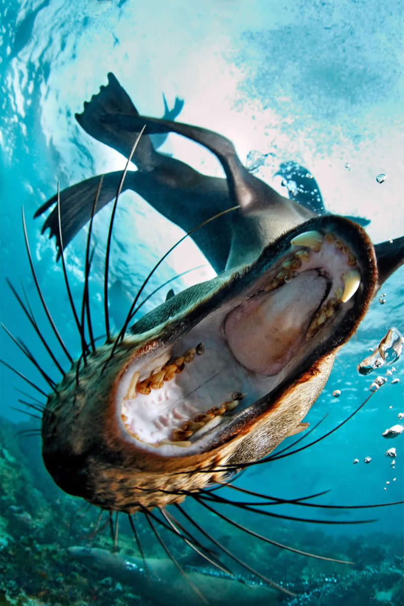 Mesmerizing Ocean Moments by Tobias Friedrich