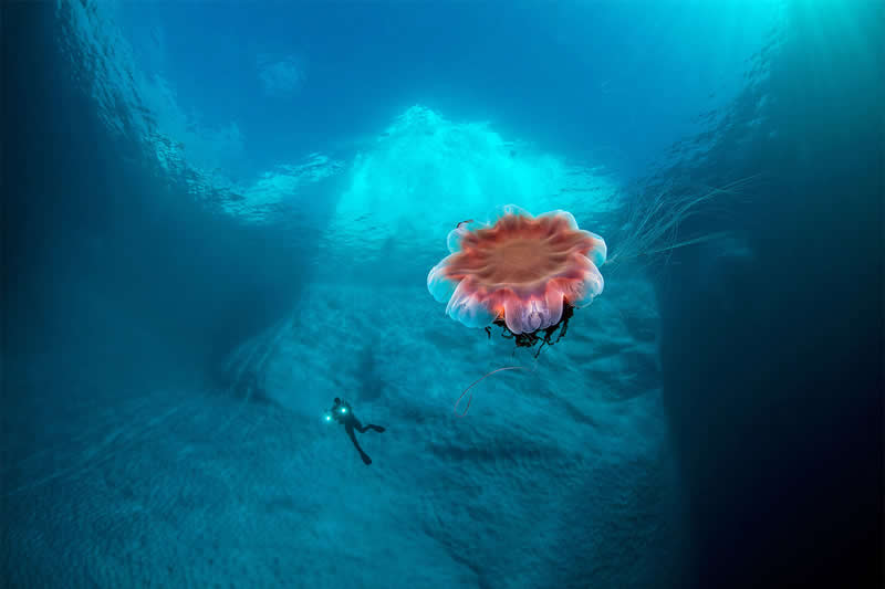 Mesmerizing Ocean Moments by Tobias Friedrich