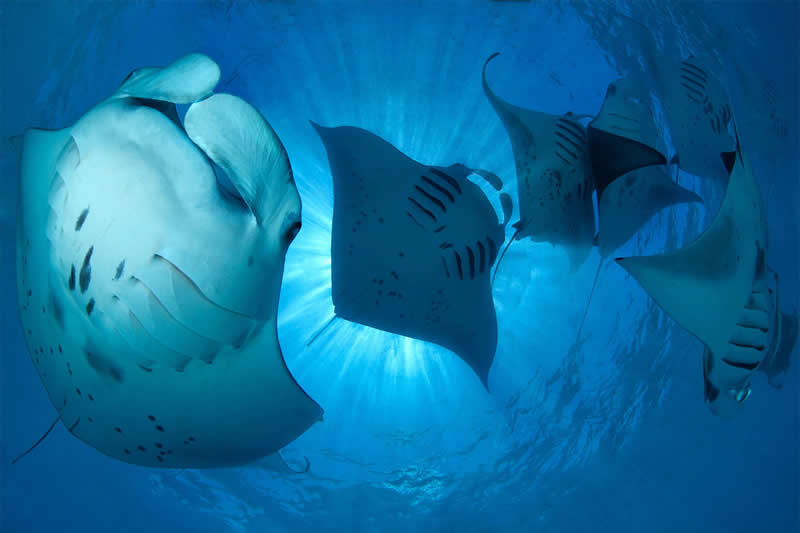 Mesmerizing Ocean Moments by Tobias Friedrich