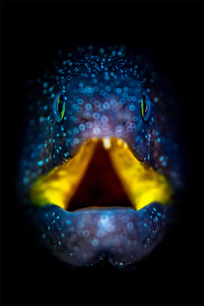 Mesmerizing Ocean Moments by Tobias Friedrich