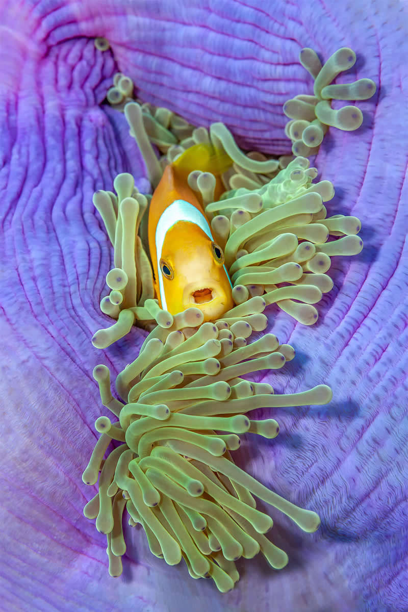 Mesmerizing Ocean Moments by Tobias Friedrich