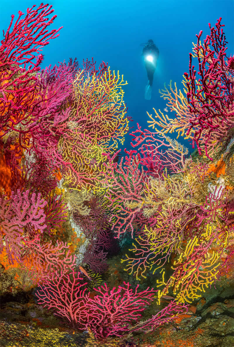 Mesmerizing Ocean Moments by Tobias Friedrich