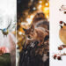 Soul of Nature: 32 Wildlife Photos by Ian Granstrom That Turn Everyday Moments Into Art 67 Wildlife Photos by Ian Granström That Turn Everyday Moments Into Art
