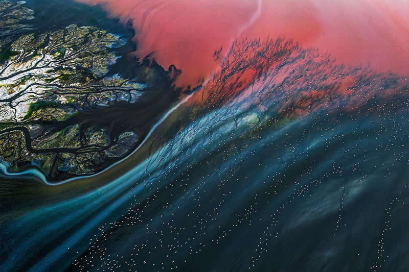 Aerial Photography - 1st Place: Flamingos moving in Maharlu Lake by Ali Azar, Iran - 35 Photography Awards