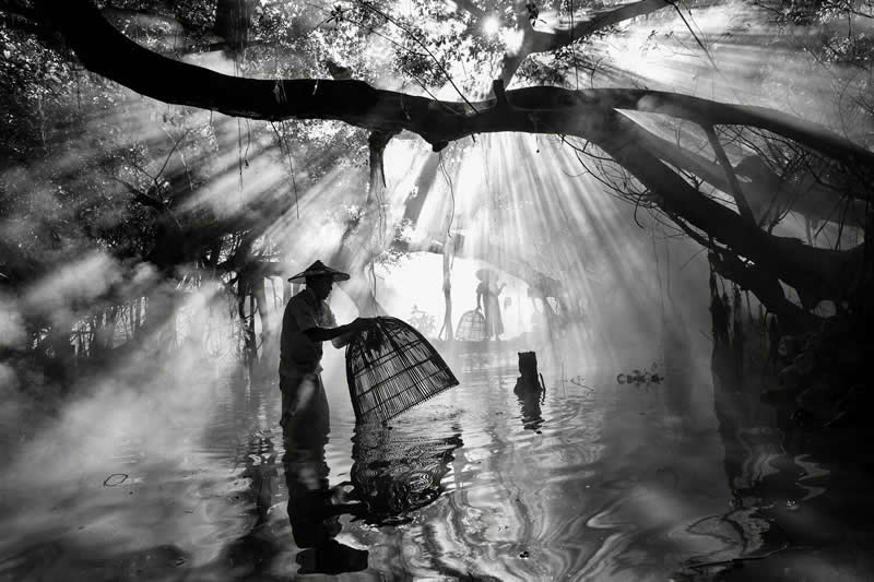 Black and White - 1st Place: Fishing in the mangrove forest, Myanmar by Nadezhda Nikolaeva, Russian Federation - 35 Photography Awards