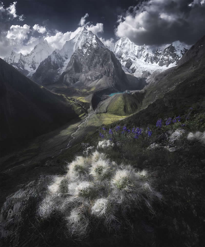 Landscape, Daytime - 2nd Place: Cactuses and the Andes by Anna Politova, Russian Federation - 35 Photography Awards