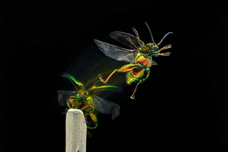 Motion - 1st Place: Mengapai Mimpi by Deni Ardian, Indonesia - 35 Photography Awards