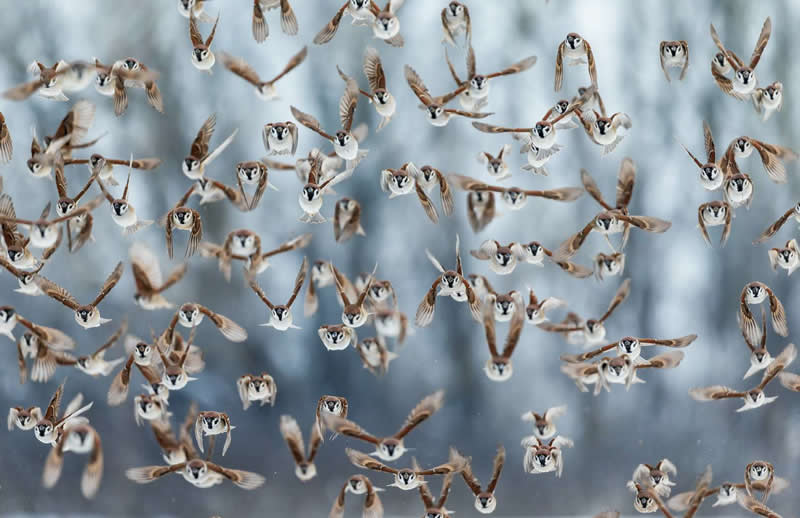 Motion - 2nd Place: Photo by Natalya, Russian Federation - 35 Photography Awards