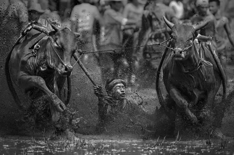 Motion - 3rd Place: Hard Luck by Sameerah Qabel Abbas, United Arab Emirates - 35 Photography Awards
