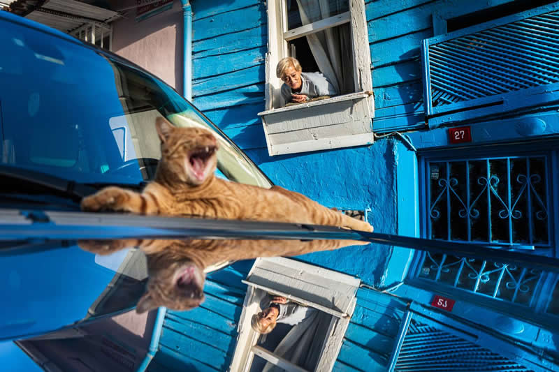 Street - 3rd Place: Photo by Pınar Ergul Bayram, Sweden - 35 Photography Awards