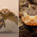 A Celebration of Talent: 33 Award-Winning Photos From the 35 Awards Contest 2026 77 35 Photography Awards Winners