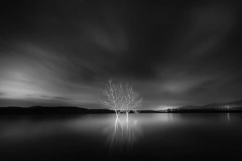 Light, Shadow, Soul: 33 Award-Winning Black and White Photos Celebrated in 2026 39 Slavi Zayakov, Bulgaria - 35 Photography Awards Winners
