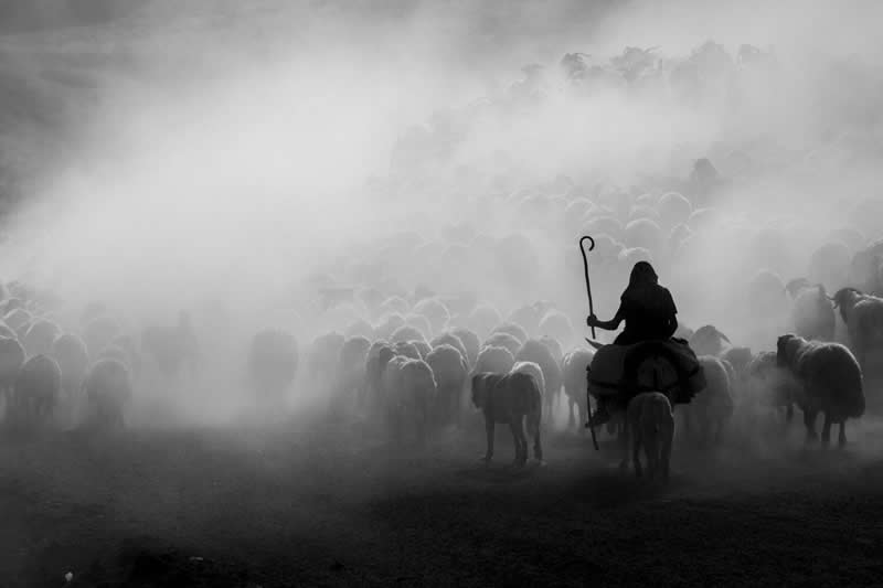 Light, Shadow, Soul: 33 Award-Winning Black and White Photos Celebrated in 2026 40 Erhan Kalkandelen, Turkey - 35 Photography Awards Winners