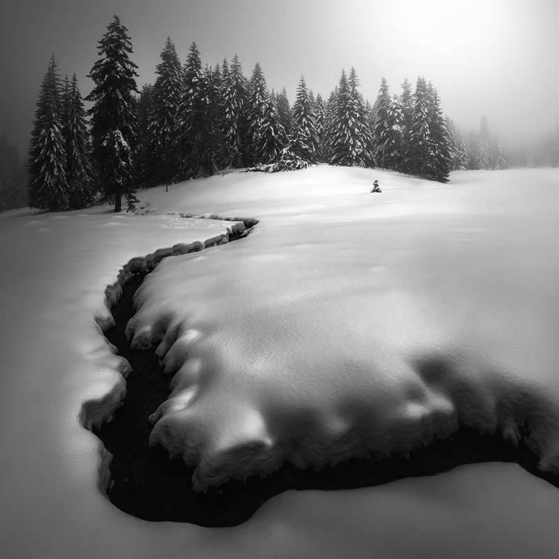 Light, Shadow, Soul: 33 Award-Winning Black and White Photos Celebrated in 2026 42 Slavi Zayakov, Bulgaria - 35 Photography Awards Winners