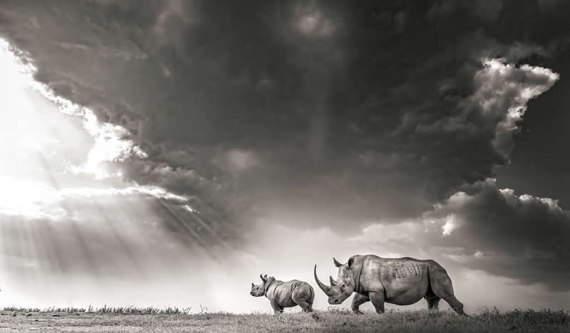 Light, Shadow, Soul: 33 Award-Winning Black and White Photos Celebrated in 2026 47 With my Mom by Pangiotis Laskarakis, Greece - 35 Photography Awards Winners