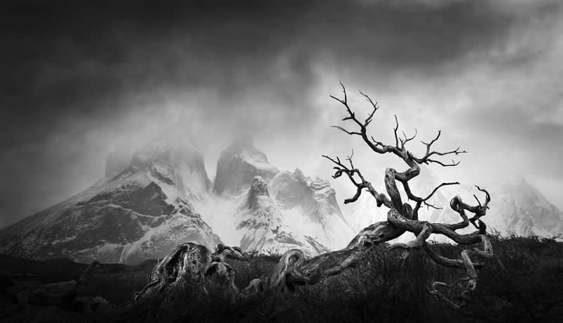 Light, Shadow, Soul: 33 Award-Winning Black and White Photos Celebrated in 2026 51 Eduardo Modolo, Chile - 35 Photography Awards Winners