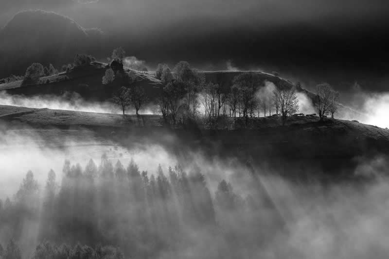 Light, Shadow, Soul: 33 Award-Winning Black and White Photos Celebrated in 2026 57 Bicas Alin Dorin, Romania - 35 Photography Awards Winners