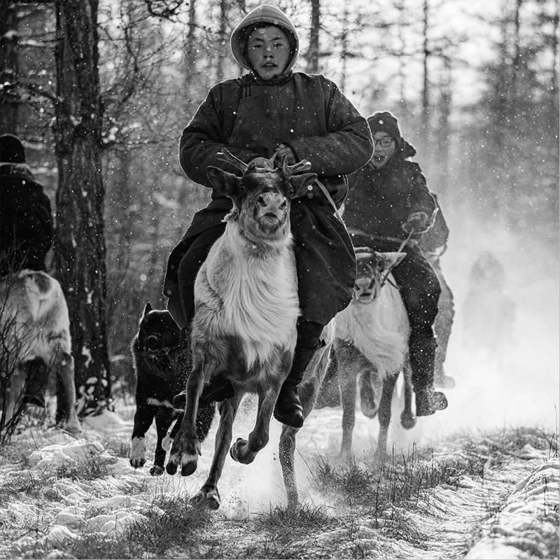 Light, Shadow, Soul: 33 Award-Winning Black and White Photos Celebrated in 2026 59 Bayasal, Mongolia - 35 Photography Awards Winners